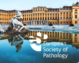 ECP - European Congress of Patology